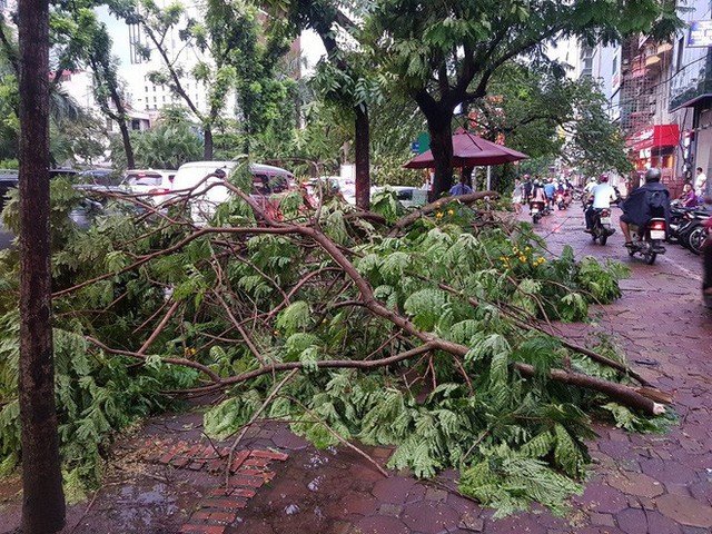  Mưa giông dữ dội từ cuối chiều ở Hà Nội, 1 nam thanh niên bị cây si đổ trúng tử vong - Ảnh 19.