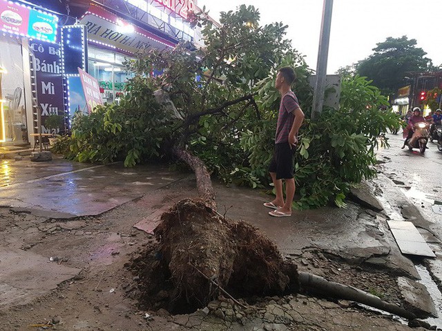 Mưa giông dữ dội từ cuối chiều ở Hà Nội, 1 nam thanh niên bị cây si đổ trúng tử vong - Ảnh 20.
