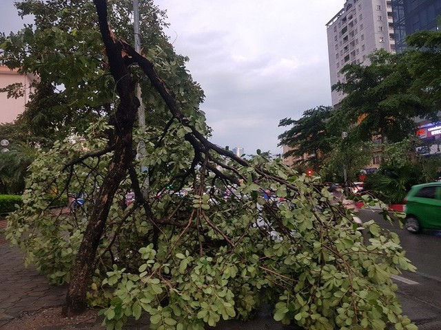  Mưa giông dữ dội từ cuối chiều ở Hà Nội, 1 nam thanh niên bị cây si đổ trúng tử vong - Ảnh 21.
