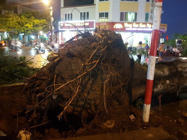  Mưa giông dữ dội từ cuối chiều ở Hà Nội, 1 nam thanh niên bị cây si đổ trúng tử vong - Ảnh 7.