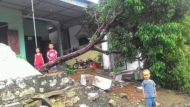  Hàng loạt cây đổ, nhà cửa tan hoang sau khi bão số 4 đổ bộ vào Nghệ An - Hà Tĩnh - Ảnh 9.