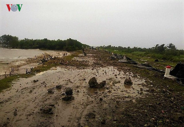Hiện trường sau cơn thủy triều khủng khiếp tại Cà Mau - Ảnh 15.