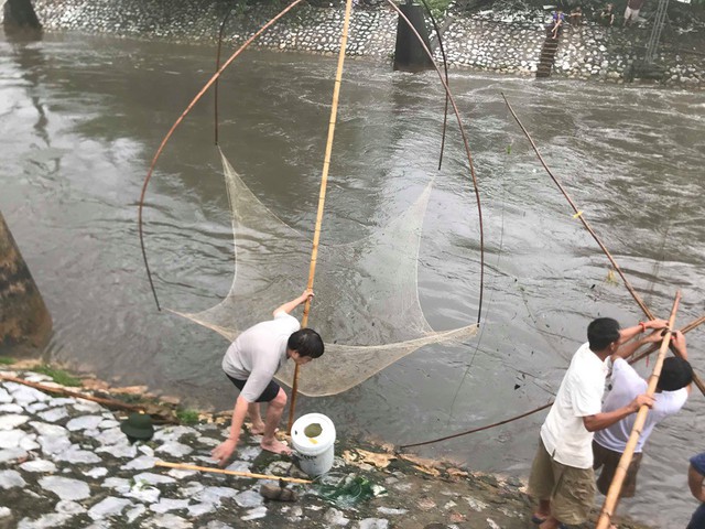 Ảnh: Sau mưa lớn, người Hà Nội rủ nhau ra sông Kim Ngưu đánh bắt cá - Ảnh 3.