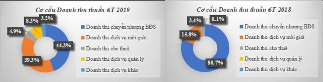 TTC Land: Doanh thu thuần mảng chuyển nhượng BĐS 6 tháng đầu năm giảm xuống còn 44% - Ảnh 1.