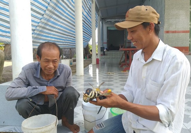  Bí quyết chọn cua biển Cà Mau ngon, tránh hàng đểu  - Ảnh 6.