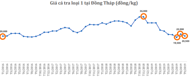 Giá cá tra nguyên liệu biến động mạnh, doanh số xuất khẩu Vĩnh Hoàn giảm về 213 triệu USD, ANV tăng mạnh lên hơn 93 triệu USD - Ảnh 1.