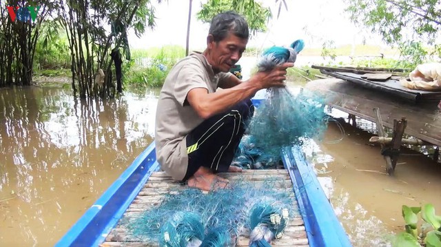 Cá linh về ĐBSCL ít hơn mọi năm, giá tăng hàng trăm nghìn đồng/kg - Ảnh 3.