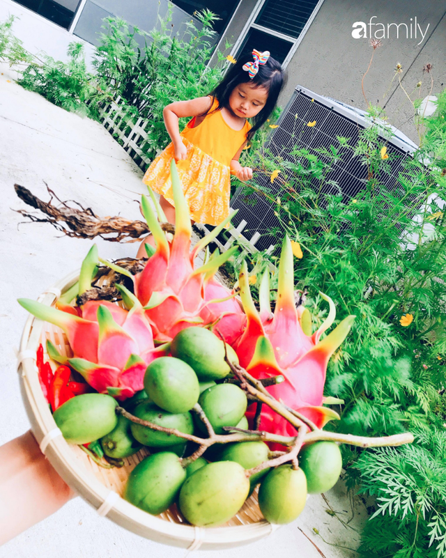 Gia đình Việt ở Mỹ: Người vợ hạnh phúc khi được chồng cùng cải tạo vườn trồng đủ loại rau quả tươi tốt - Ảnh 2.