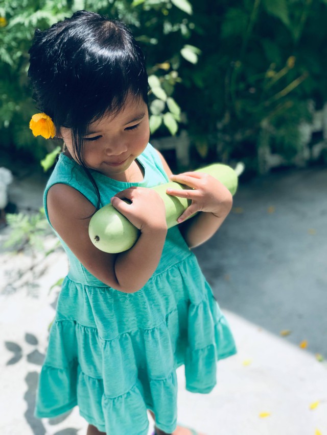 Gia đình Việt ở Mỹ: Người vợ hạnh phúc khi được chồng cùng cải tạo vườn trồng đủ loại rau quả tươi tốt - Ảnh 14.