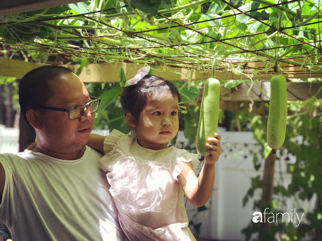 Gia đình Việt ở Mỹ: Người vợ hạnh phúc khi được chồng cùng cải tạo vườn trồng đủ loại rau quả tươi tốt - Ảnh 3.