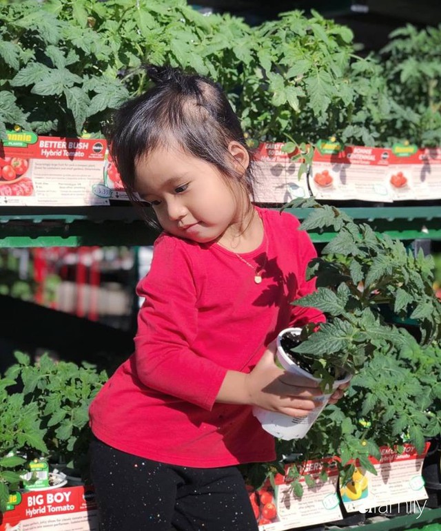 Gia đình Việt ở Mỹ: Người vợ hạnh phúc khi được chồng cùng cải tạo vườn trồng đủ loại rau quả tươi tốt - Ảnh 47.
