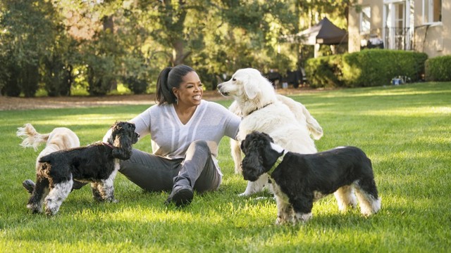 Tập duy trì thói quen buổi sáng của Oprah Winfrey trong 1 tuần, tôi nhận ra sống lành mạnh không hề dễ dàng: Nhưng hiệu quả rất đáng để thử! - Ảnh 2.
