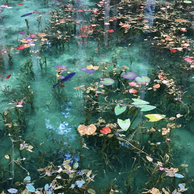 Hồ Nhật Bản đẹp như tranh sơn dầu của Monet: 20 năm trước vô danh, không ai biết đến, giờ thành địa điểm hút khách bậc nhất xứ hoa anh đào - Ảnh 4.