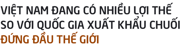 Rót hơn tỷ USD vào HAGL: Chuyện chẳng đùa và giấc mơ khủng về hệ sinh thái nông nghiệp của tỷ phú Trần Bá Dương (Kỳ 1) - Ảnh 3.