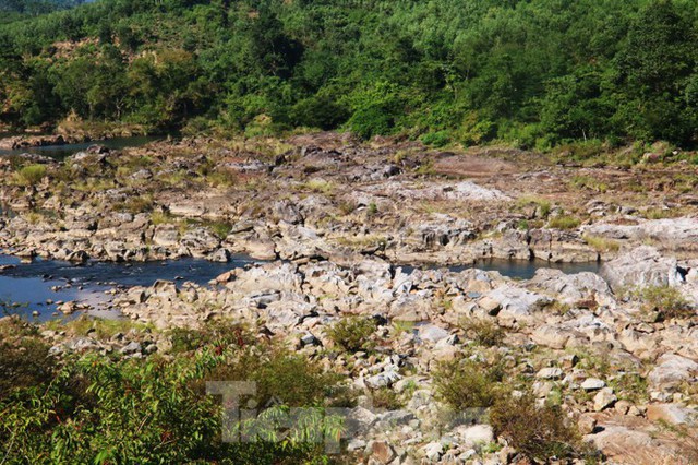 Những dòng sông chết dưới chân đập thủy điện Đắk Mi 4 - Ảnh 9.