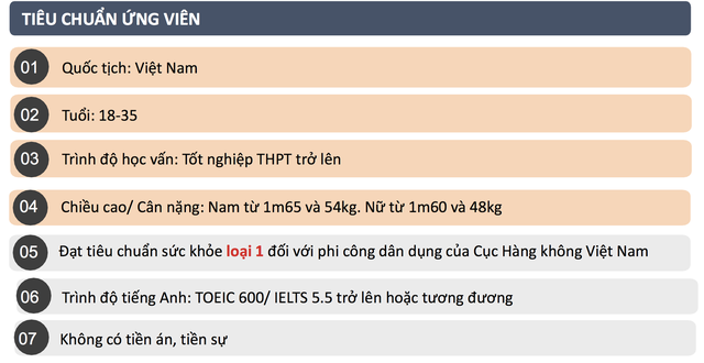 Tuyển sinh phi công đợt 2, Vinpearl Air tổ chức ngày hội tư vấn Chạm ước mơ bay cùng Vinpearl Air tại 3 thành phố lớn - Ảnh 2.