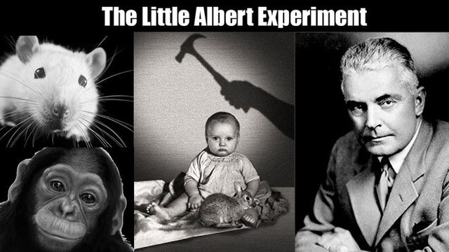 Albert bé nhỏ - một trong những thí nghiệm khủng khiếp nhất trong lịch sử - Ảnh 1.