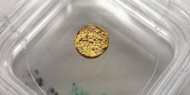 Từ nhựa thông thường, các nhà khoa học tạo ra loại vàng 18K siêu nhẹ mới - Ảnh 1.
