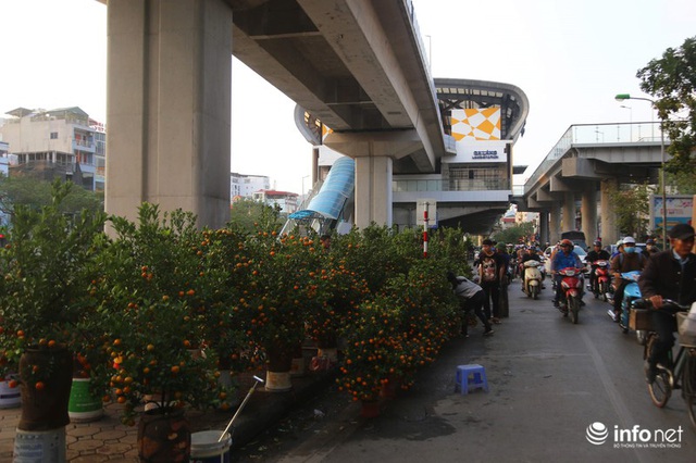 Vỉa hè, sân nhà ga đường sắt trên cao Cát Linh - Hà Đông thành chợ hoa Tết - Ảnh 12.