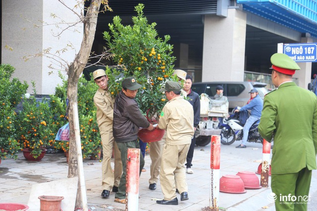 Vỉa hè, sân nhà ga đường sắt trên cao Cát Linh - Hà Đông thành chợ hoa Tết - Ảnh 5.