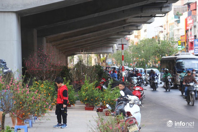 Vỉa hè, sân nhà ga đường sắt trên cao Cát Linh - Hà Đông thành chợ hoa Tết - Ảnh 8.