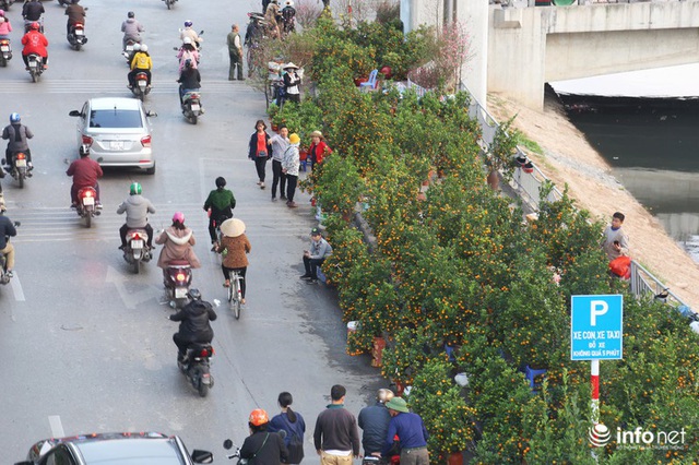 Vỉa hè, sân nhà ga đường sắt trên cao Cát Linh - Hà Đông thành chợ hoa Tết - Ảnh 9.