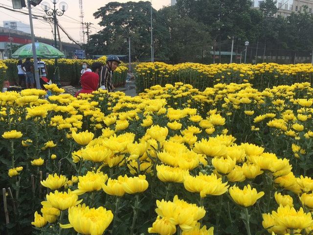 Chợ hoa Tết ở TP HCM đồng loạt mở cửa sáng 23 tháng Chạp - Ảnh 1.