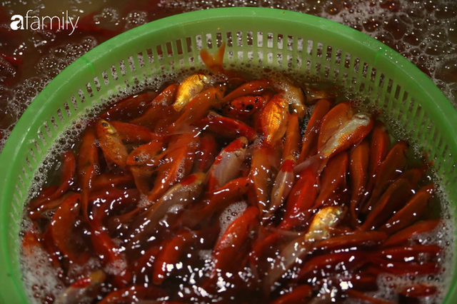  Ngày ông Công ông Táo, chợ cá lớn nhất Hà Nội cháy hàng cá chép từ rạng sáng - Ảnh 14.