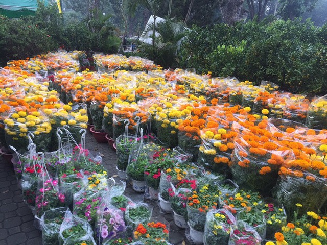 Chợ hoa Tết ở TP HCM đồng loạt mở cửa sáng 23 tháng Chạp - Ảnh 5.