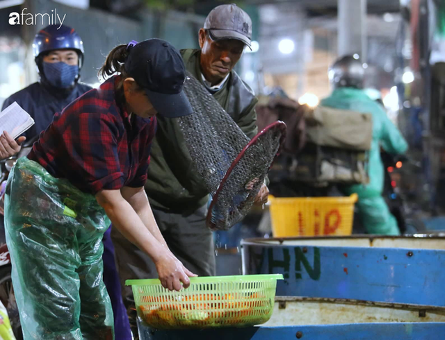  Ngày ông Công ông Táo, chợ cá lớn nhất Hà Nội cháy hàng cá chép từ rạng sáng - Ảnh 7.