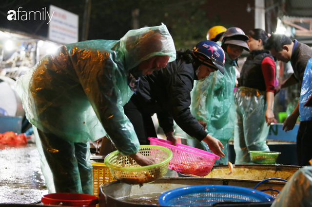  Ngày ông Công ông Táo, chợ cá lớn nhất Hà Nội cháy hàng cá chép từ rạng sáng - Ảnh 9.