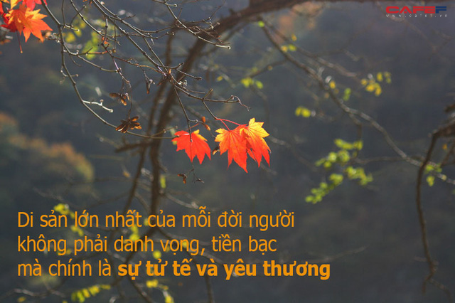 Khi bước vào tuổi hoàng hôn bóng xế, tôi mới thấm thía: Di sản lớn nhất của mỗi đời người không phải danh vọng, tiền bạc mà chính là sự tử tế và yêu thương - Ảnh 1.