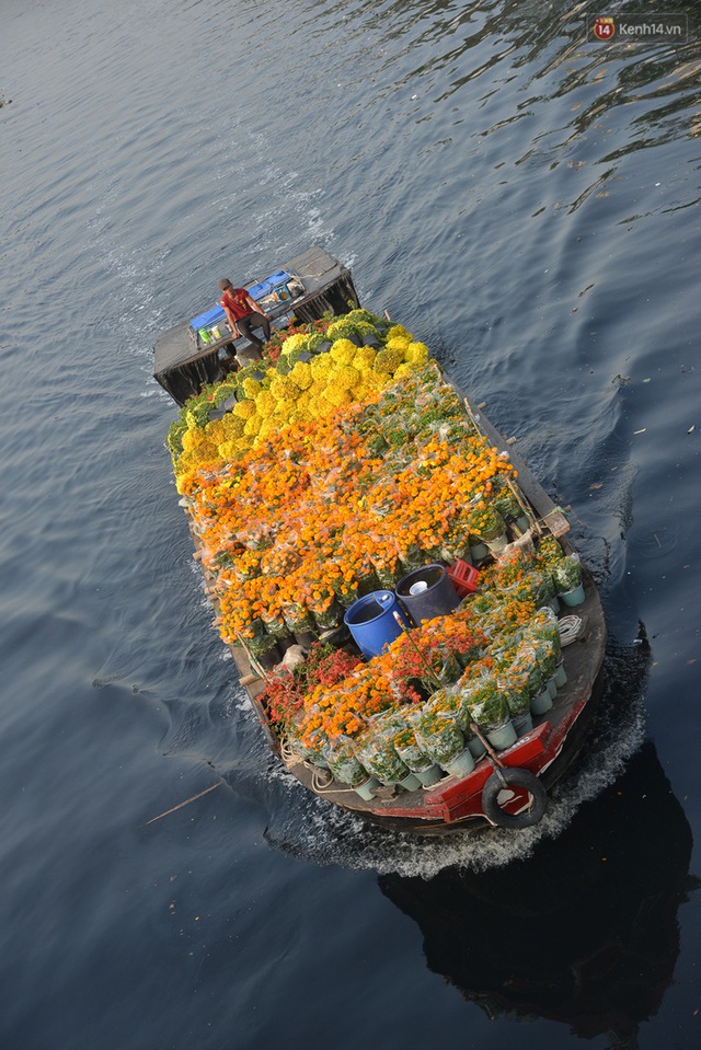 Ảnh: Thuyền chở đầy ắp hoa nối đuôi nhau cập bến Bình Đông, chợ hoa trên bến dưới thuyền rộn ràng sắc xuân ngày cận Tết - Ảnh 2.
