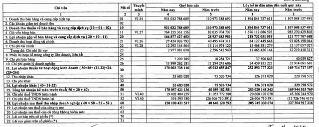 Nhiệt điện Bà Rịa (BTP): Năm 2019 lãi 206 tỷ đồng vượt 130% kế hoạch - Ảnh 2.