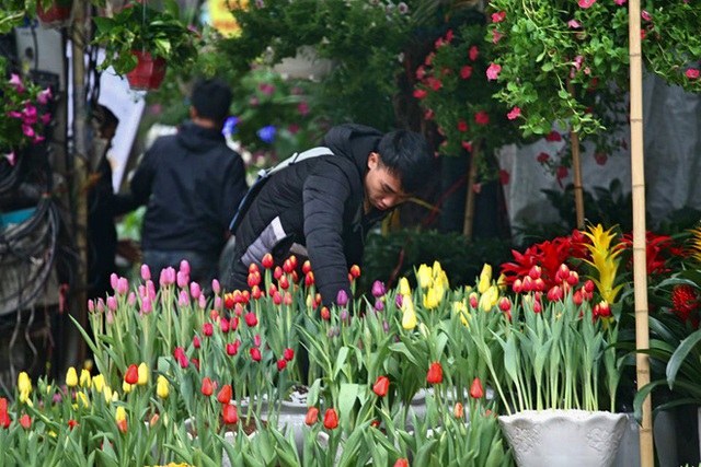 Mặc thời tiết mưa rét, người dân chen chân mua hoa Tết tại chợ hoa lâu đời nhất Hà Nội - Ảnh 1.