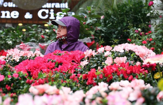 Mặc thời tiết mưa rét, người dân chen chân mua hoa Tết tại chợ hoa lâu đời nhất Hà Nội - Ảnh 3.