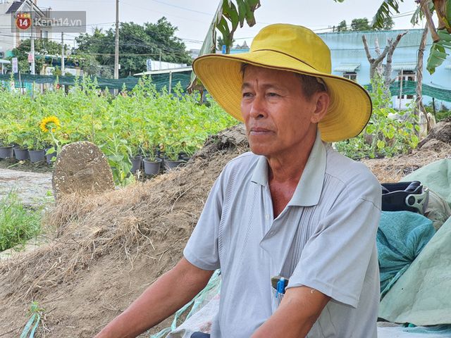 Thương lái bùng 3.000 chậu hoa vạn thọ của lão nông Sài Gòn vào 28 Tết, cộng đồng mạng chung tay mua sạch - Ảnh 4.