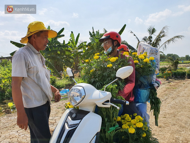 Thương lái bùng 3.000 chậu hoa vạn thọ của lão nông Sài Gòn vào 28 Tết, cộng đồng mạng chung tay mua sạch - Ảnh 8.