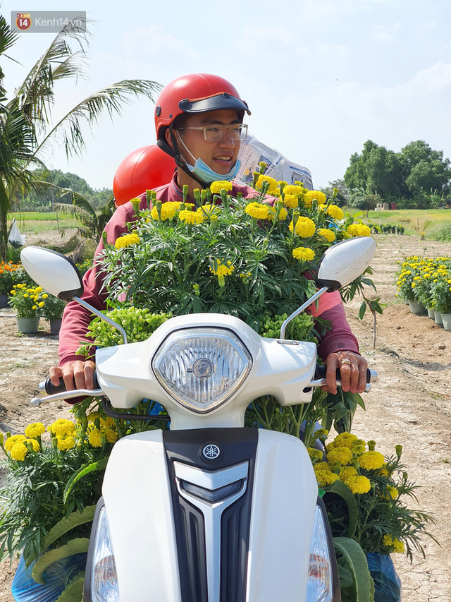 Thương lái bùng 3.000 chậu hoa vạn thọ của lão nông Sài Gòn vào 28 Tết, cộng đồng mạng chung tay mua sạch - Ảnh 9.