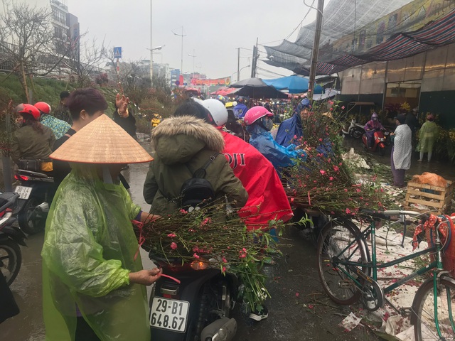 Chiều 30 Tết: Đào đại hạ giá 50.000 đồng/cành vẫn vắng bóng người mua, tiểu thương ngậm ngùi vứt lên xe rác - Ảnh 1.