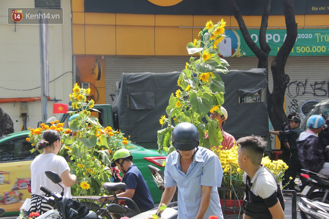 Sau khi tiểu thương ở Sài Gòn đập chậu, ném hoa vào thùng rác, nhiều người tranh thủ chạy đến hôi hoa - Ảnh 11.