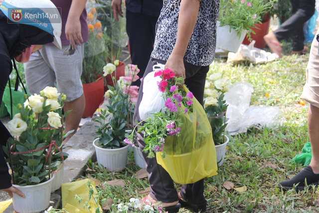 Sau khi tiểu thương ở Sài Gòn đập chậu, ném hoa vào thùng rác, nhiều người tranh thủ chạy đến hôi hoa - Ảnh 3.