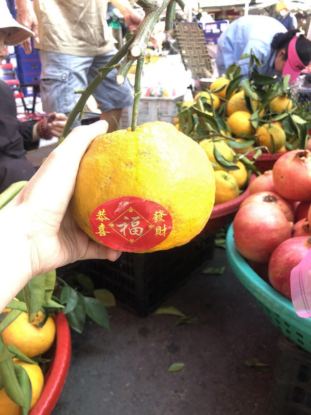 Trái cây khổng lồ gắn mác ngoại bày bán giá rẻ trên vỉa hè Sài Gòn - Ảnh 5.