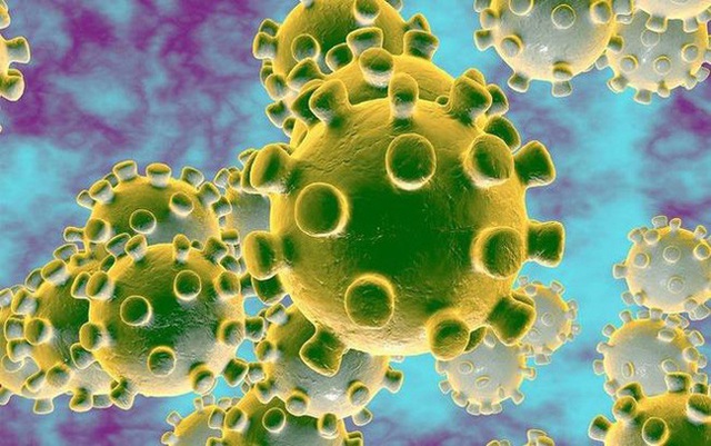 Làm thế nào để du lịch an toàn trong đại dịch virus corona: Chuyên gia hàng đầu của Mỹ đưa ra 5 nguyên tắc phòng tránh ai cũng nên đọc - Ảnh 1.