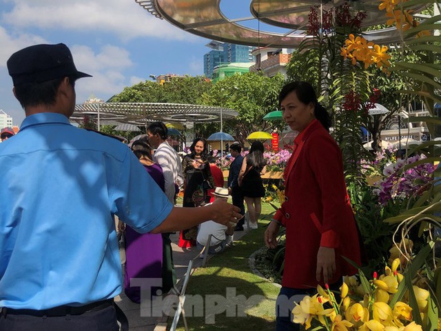 Vì sao tiểu cảnh ở phố đi bộ Nguyễn Huệ tả tơi - Ảnh 27.