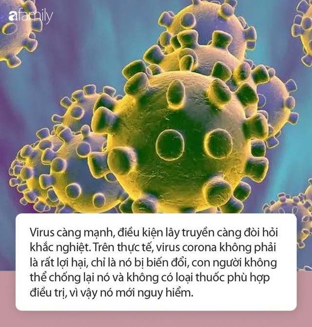 Virus corona có thể sống trong không khí bao lâu? Hãy làm ngay 3 việc này để bảo vệ sức khỏe! - Ảnh 1.