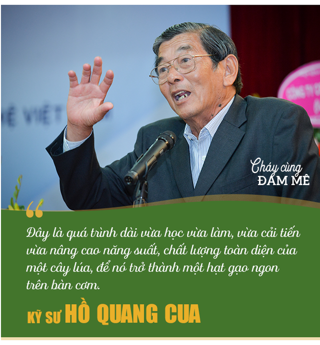 Kỹ sư Hồ Quang Cua - Cha đẻ của giống gạo ngon nhất thế giới: Ban đầu mình tính làm chơi thôi! - Ảnh 5.