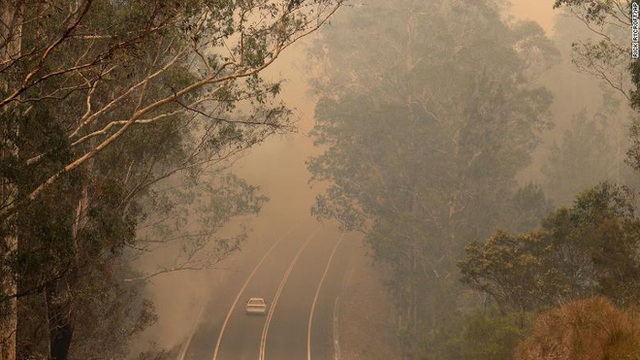 Gần NỬA TỈ sinh vật bị thiêu rụi, 1/3 số gấu koala chết cháy: Úc đang trải qua trận cháy rừng đại thảm họa thực sự mà chưa nhìn thấy lối thoát - Ảnh 2.