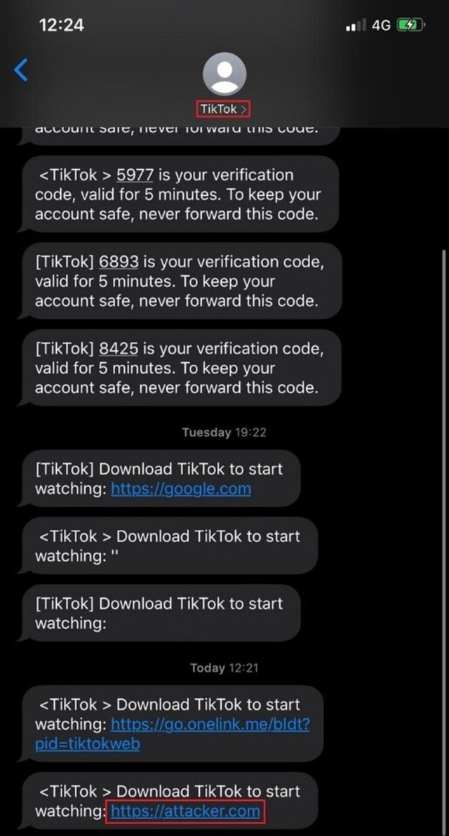 Ứng dụng TikTok với hơn 1 tỷ người dùng có một lỗ hổng bảo mật nghiêm trọng - Ảnh 2.