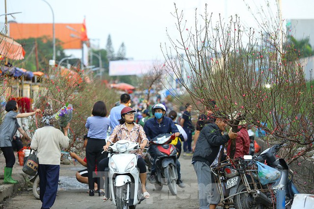 Đào, quất, hoa ngập tràn phố trước rằm tháng Chạp - Ảnh 12.